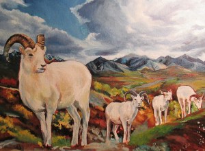 Sarah Glaser painting dall sheep