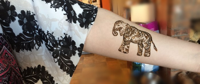 Sarah Glaser arm henna of elephant during Anchorage Alaska birthday party.
